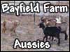Bayfield Farm ~ Austrailian Shepherds, Goats, Chickens