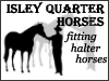 Isley Quarter Horses ~ Fitting and Showing Halter Horses