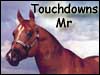 Standing Touchdowns Mr ~ Kyle Hughes Quarter Horses ~ Halter horses at their best
